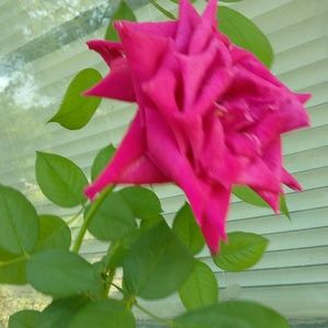 Meet your Posher, Beth